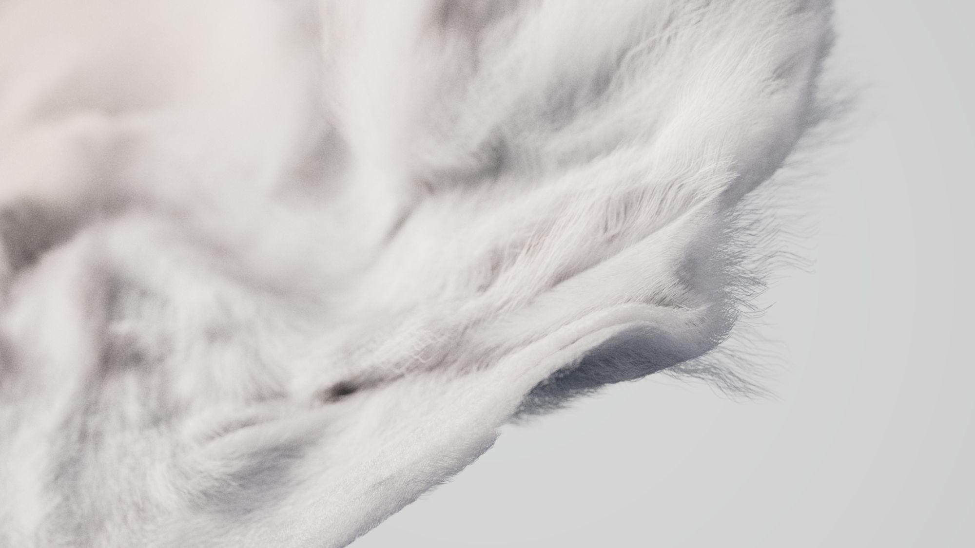 Let Extraordinary Takeover