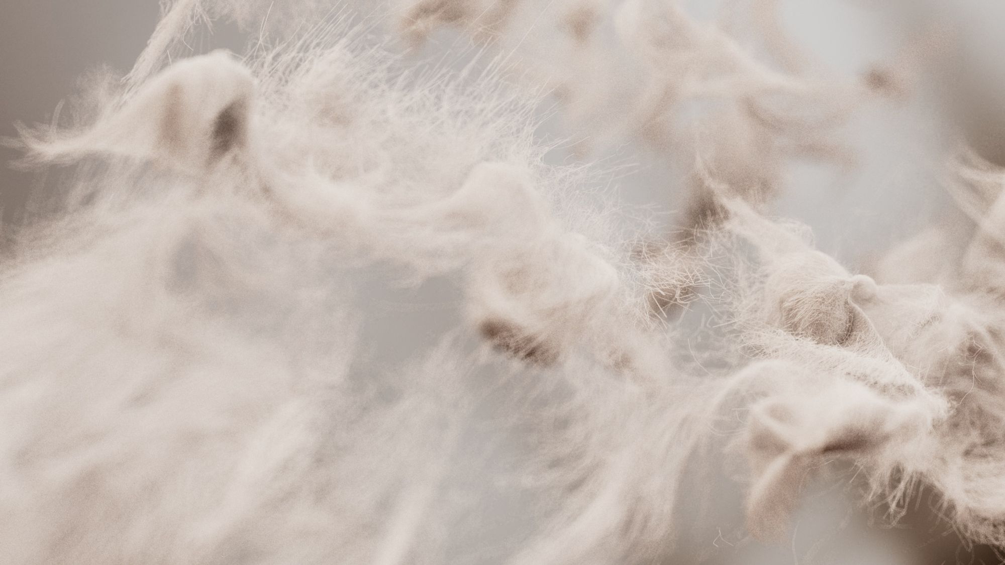 Let Extraordinary Takeover