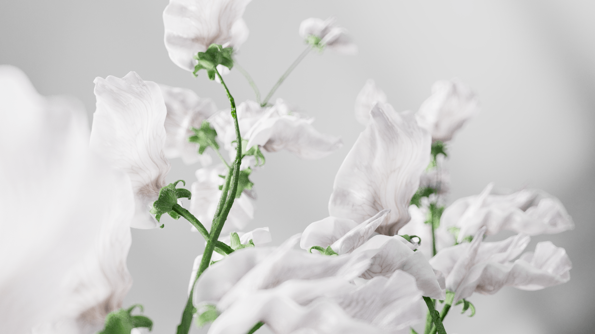 Let Extraordinary Takeover