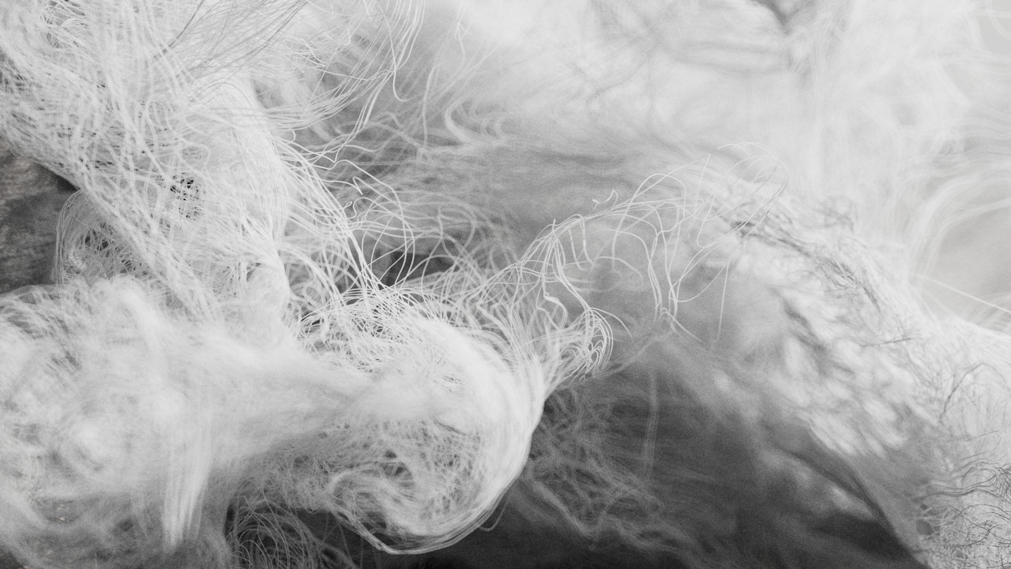 Let Extraordinary Takeover