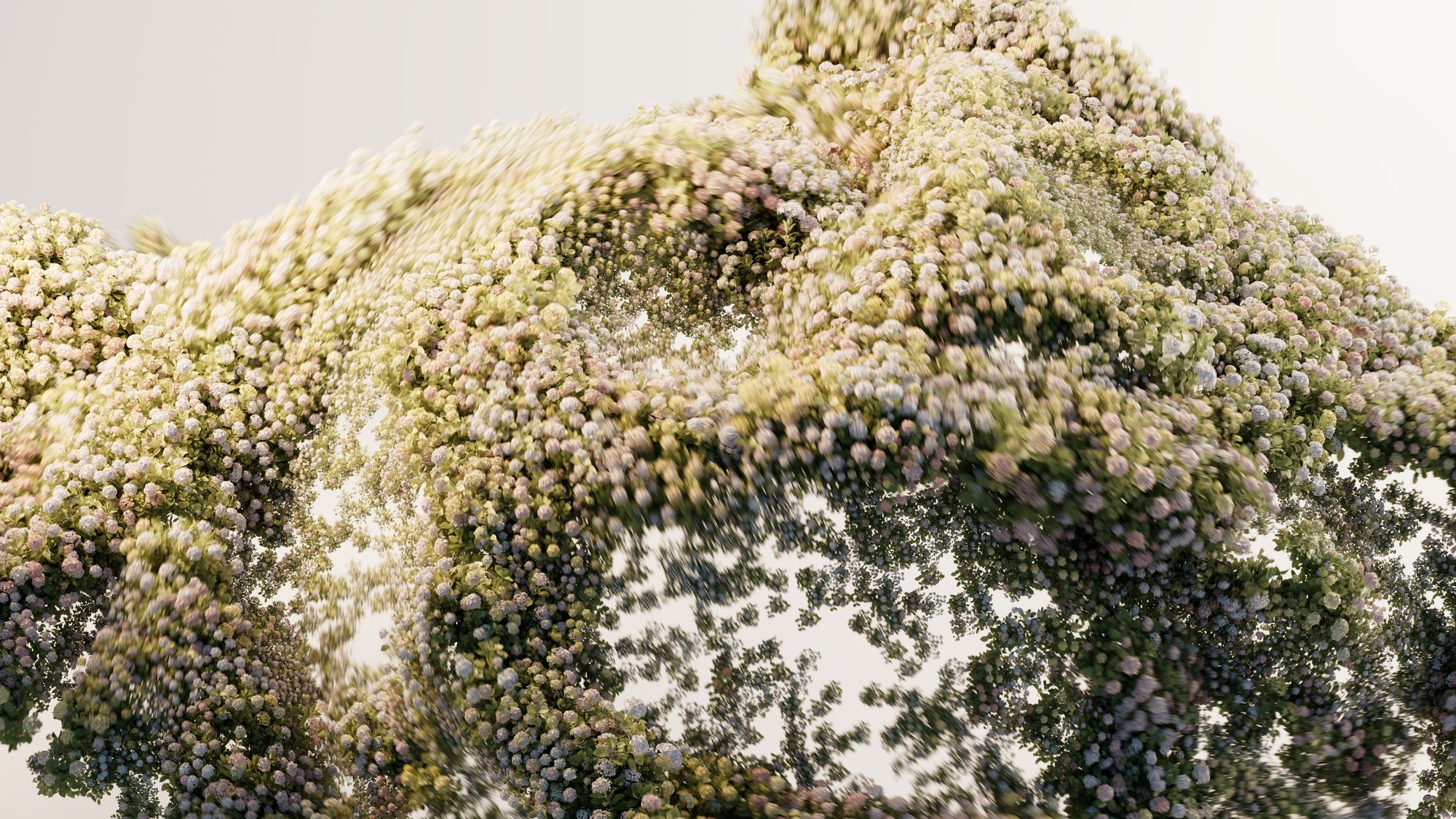 Let Extraordinary Takeover