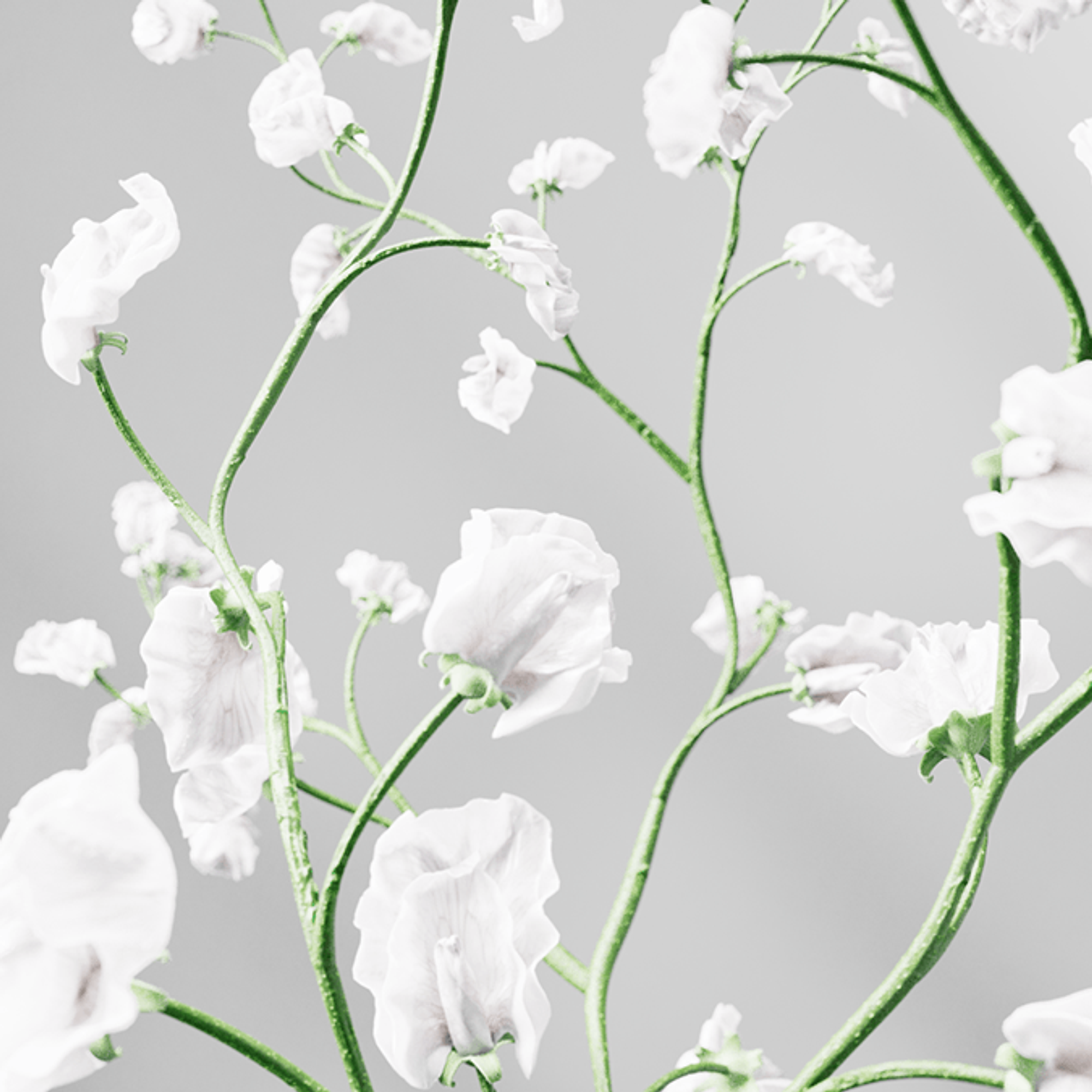 Let Extraordinary Takeover